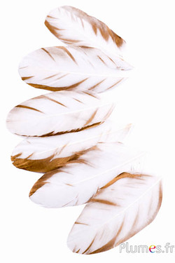 Petali in piume - 12-14 x 5-6 cm - bianco-dorato
